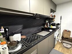 RiverParc Residence (D19), Condominium #498201881